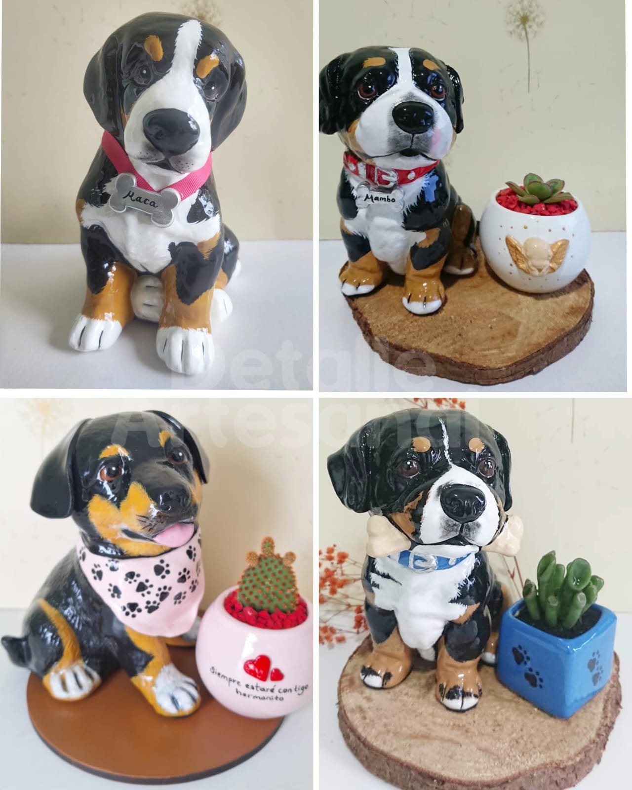 Rotweiller - Bernes de la Montaña