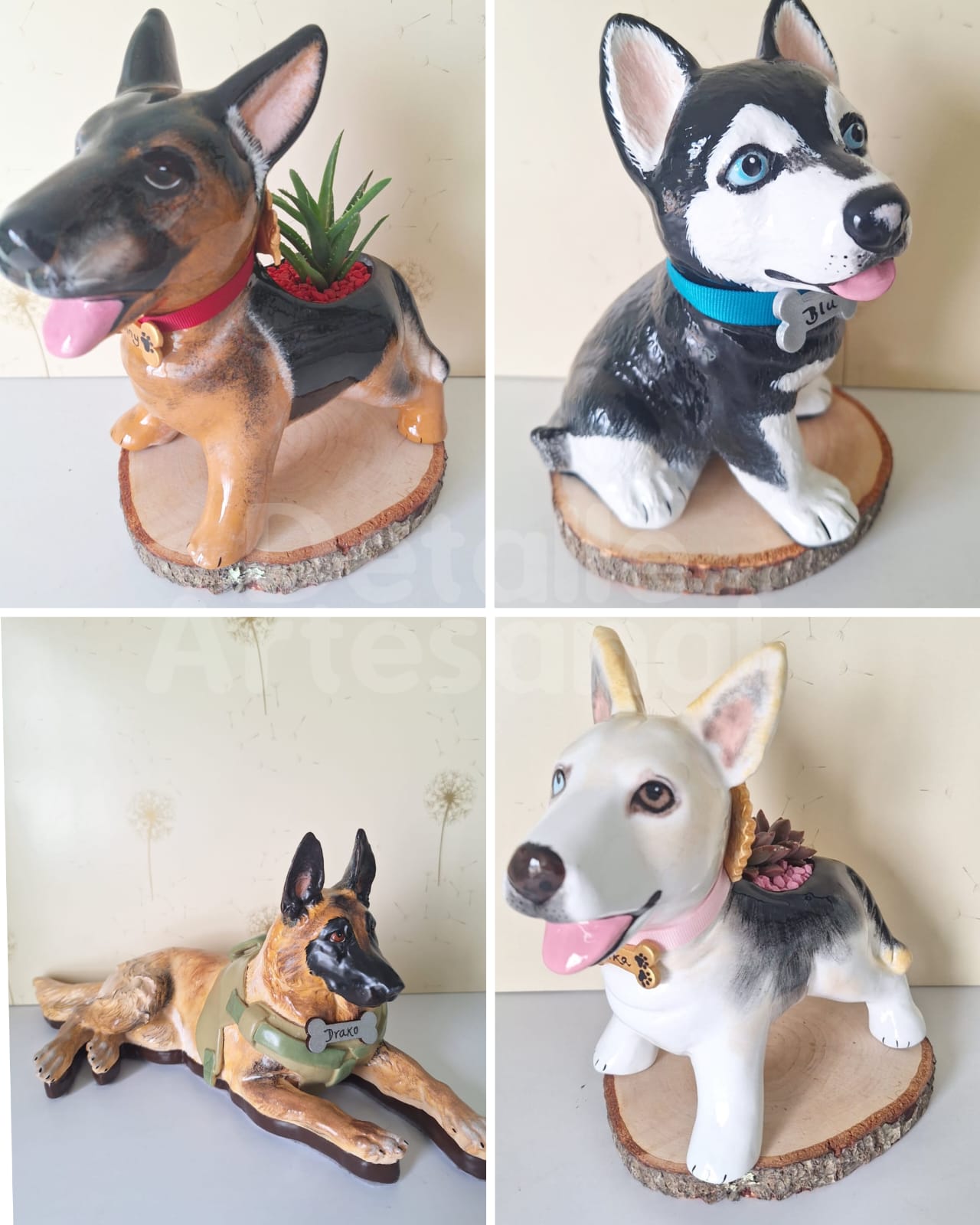 Lobo Siberiano - Pastor Alemán