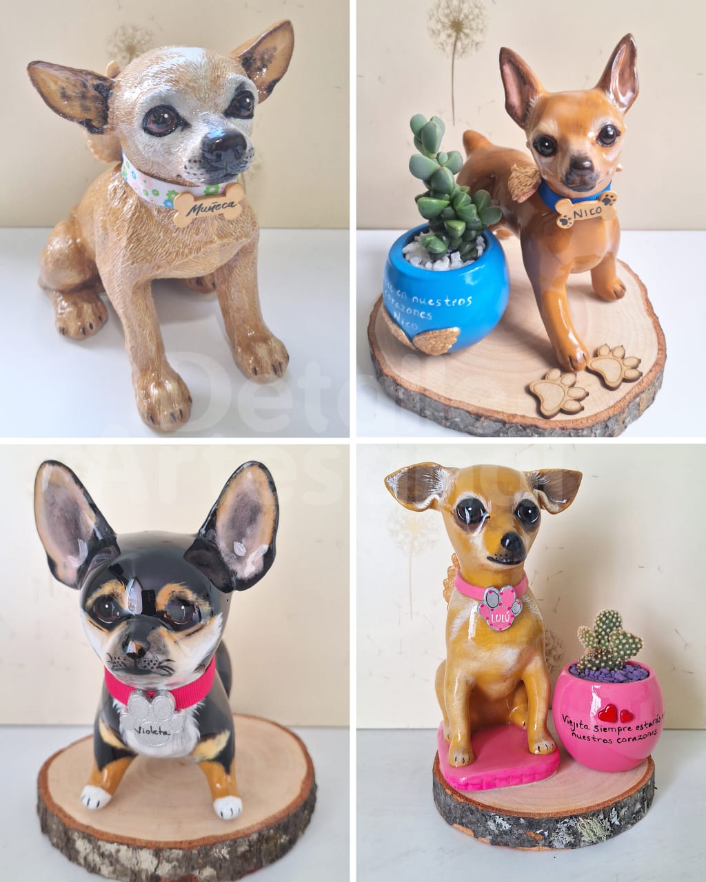 Pinscher - Chiguagua