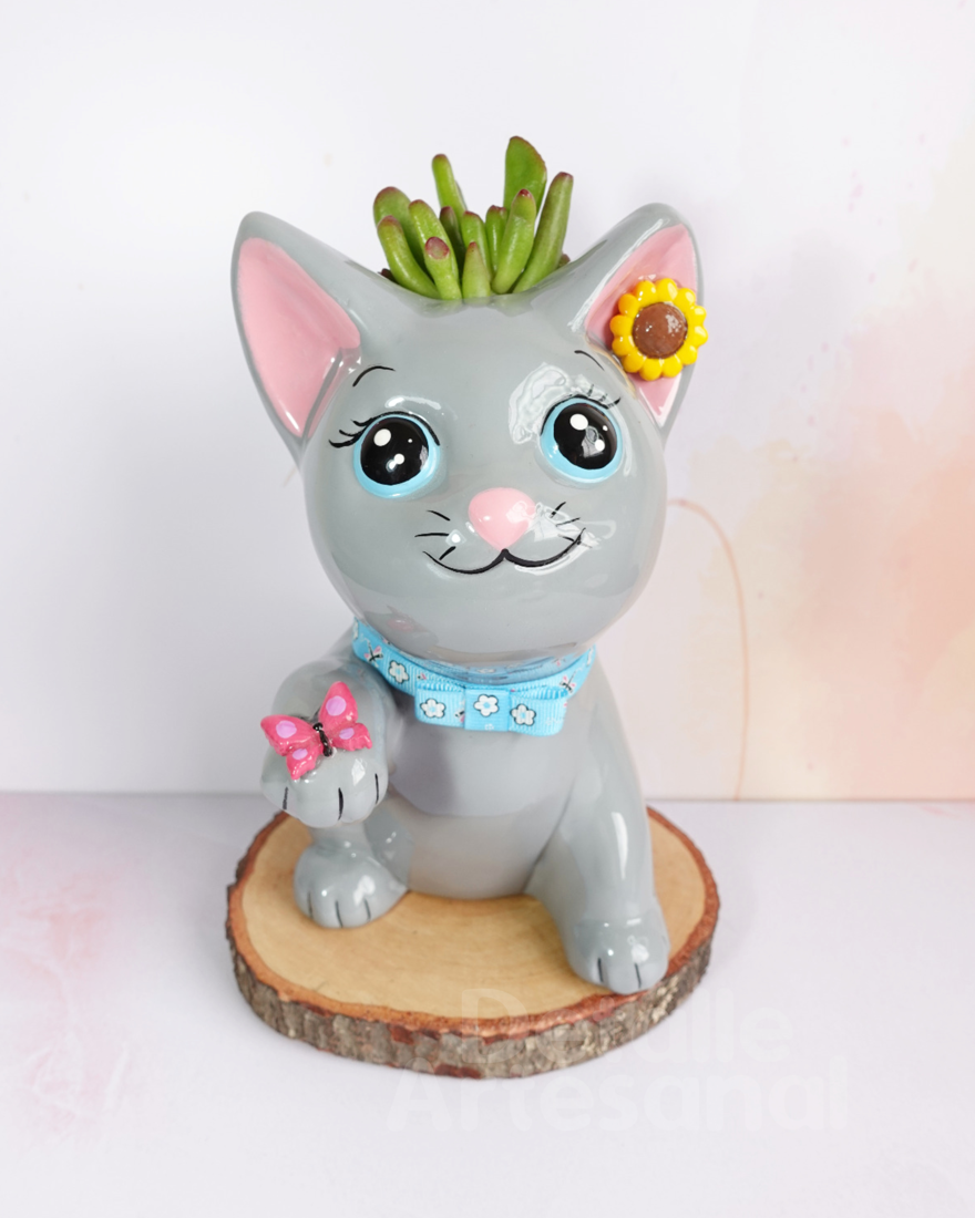 Gato Patita Arriba Matera